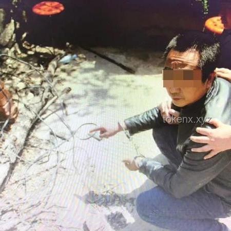 丈夫伪造车祸杀妻与正常车祸报警求助的对比分析：人性、法律与社会影响